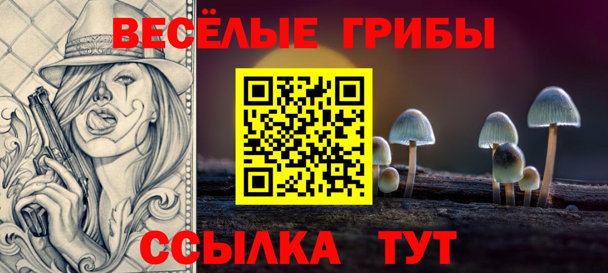 Галлюциногенные грибы GOLDEN TEACHER Орёл